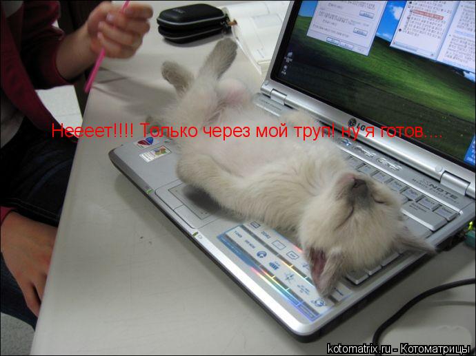 Котоматрица: Неееет!!!! Только через мой труп! ну я готов....