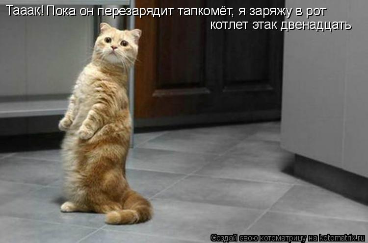 Тааак! Пока он перезарядит тапкомёт, я заряжу в рот котлет этак двенадцать... Котоматрица: Тааак! Пока он перезарядит тапкомёт, я заряжу в рот котлет этак двенадцать