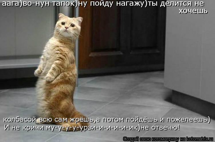 аага)во-нун тапок)ну пойду нагажу)ты делится не хочешь колбасой всю сам жрёшь,а потом пойдёшь и пожел... Котоматрица: аага)во-нун тапок)ну пойду нагажу)ты делится не хочешь колбасой всю сам жрёшь,а потом пойдёшь и пожелеешь) И не кричи му-у-у-у-урзи-и-и-и-и-ик)н