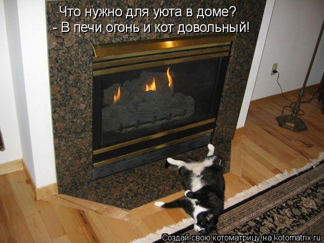 Что нужно для уюта в доме? - В печи огонь и кот довольный!... Котоматрица: Что нужно для уюта в доме? - В печи огонь и кот довольный!