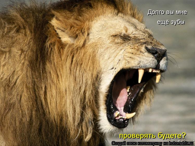Долго вы мне ещё зубы проверять будете?... Котоматрица: Долго вы мне ещё зубы проверять будете?