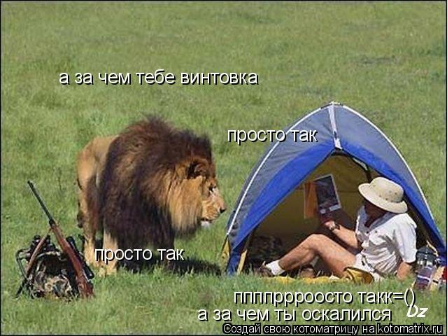 а за чем тебе винтовка ппппррроосто такк=() а за чем ты оскалился просто так просто так... Котоматрица: а за чем тебе винтовка ппппррроосто такк=() а за чем ты оскалился просто так просто так