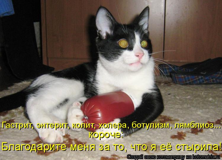 короче: Благодарите меня за то, что я её стырила! Гастрит, энтерит, колит, холера, ботулизм, лямблиоз... Котоматрица: короче: Благодарите меня за то, что я её стырила! Гастрит, энтерит, колит, холера, ботулизм, лямблиоз...