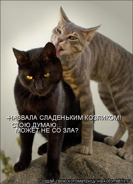-НАЗВАЛА СЛАДЕНЬКИМ КОЗЛИКОМ! СТОЮ,ДУМАЮ... МОЖЕТ НЕ СО ЗЛА?... Котоматрица: -НАЗВАЛА СЛАДЕНЬКИМ КОЗЛИКОМ! СТОЮ,ДУМАЮ... МОЖЕТ НЕ СО ЗЛА?