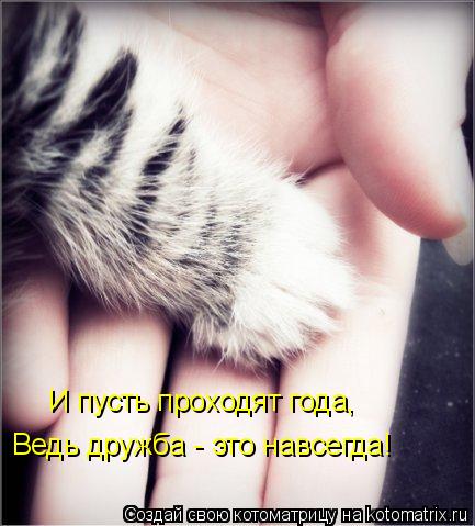 И пусть проходят года, Ведь дружба - это навсегда!... Котоматрица: И пусть проходят года, Ведь дружба - это навсегда!
