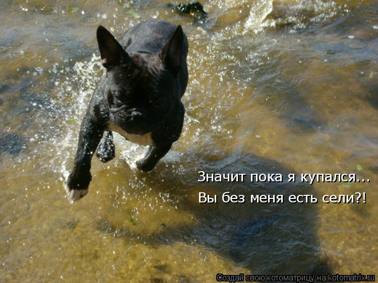 Значит пока я купался... Вы без меня есть сели?!... Котоматрица: Значит пока я купался... Вы без меня есть сели?!