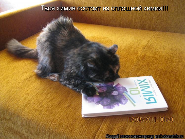 Твоя химия состоит из сплошной химии!!!... Котоматрица: Твоя химия состоит из сплошной химии!!!