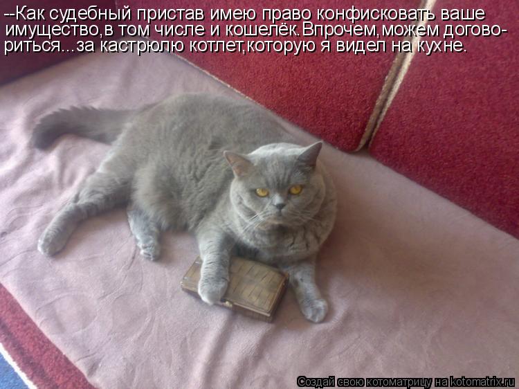 --Как судебный пристав имею право конфисковать ваше имущество,в том числе и кошелёк.Впрочем,можем дог... Котоматрица: --Как судебный пристав имею право конфисковать ваше имущество,в том числе и кошелёк.Впрочем,можем догово- риться...за кастрюлю котлет,котору