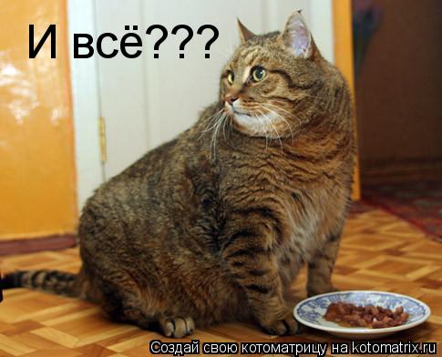 И всё???... Котоматрица: И всё???