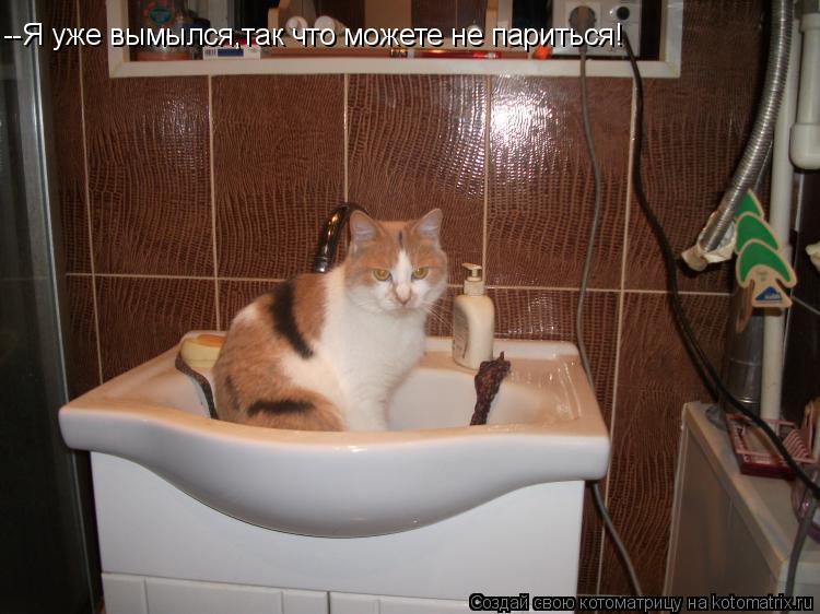 --Я уже вымылся,так что можете не париться!... Котоматрица: --Я уже вымылся,так что можете не париться!