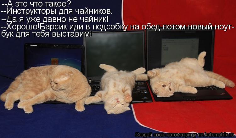 --А это что такое? --Инструкторы для чайников. --Да я уже давно не чайник! --Хорошо!Барсик,иди в подс... Котоматрица: --А это что такое? --Инструкторы для чайников. --Да я уже давно не чайник! --Хорошо!Барсик,иди в подсобку на обед,потом новый ноут- бук для тебя в