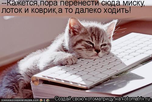 Котоматрица: --Кажется,пора перенести сюда миску, лоток и коврик,а то далеко ходить!