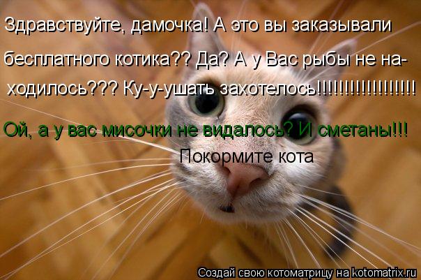 Здравствуйте, дамочка! А это вы заказывали бесплатного котика?? Да? А у Вас рыбы не на- ходилось??? К... Котоматрица: Здравствуйте, дамочка! А это вы заказывали бесплатного котика?? Да? А у Вас рыбы не на- ходилось??? Ку-у-ушать захотелось!!!!!!!!!!!!!!!!!! Покормите
