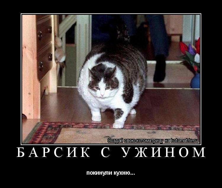 Барсик с ужином покинули кухню...... Котоматрица: Барсик с ужином покинули кухню...