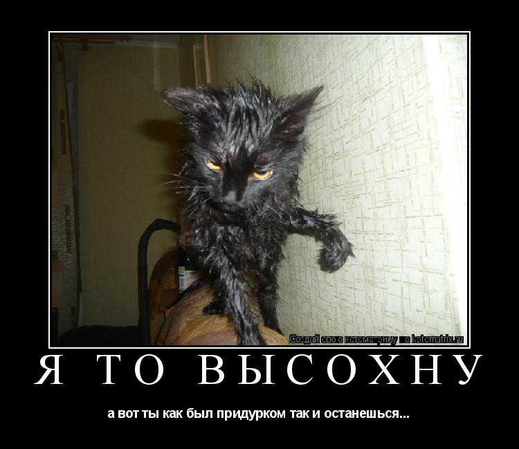 Котоматрица: я то высохну а вот ты как был придурком так и останешься...