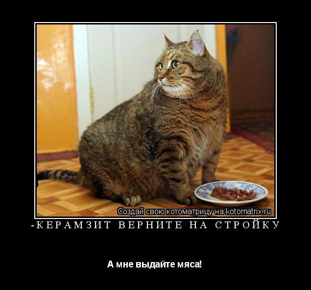 -Керамзит верните на стройку А мне выдайте мяса!... Котоматрица: -Керамзит верните на стройку А мне выдайте мяса!