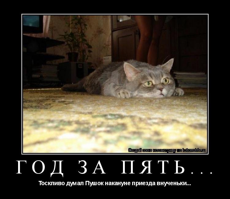 Котоматрица: Год за пять... Тоскливо думал Пушок накануне приезда внученьки...