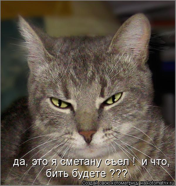 Котоматрица: да, это я сметану съел !  и что, бить будете ???