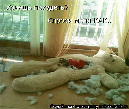 Котоматрица: Хочешь похудеть? Спроси меня КАК...