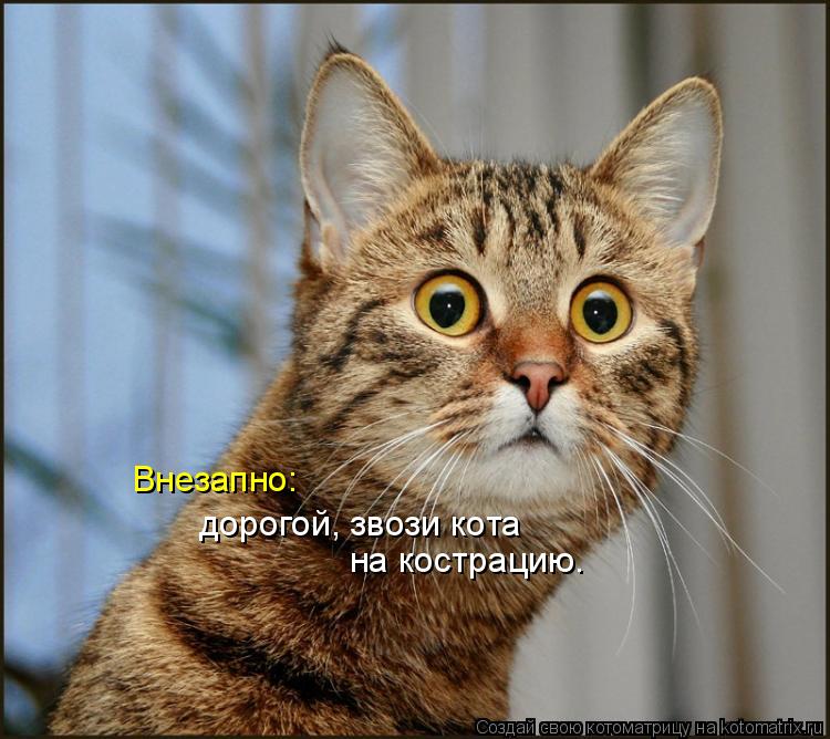 Котоматрица: Внезапно: дорогой, звози кота на кострацию.