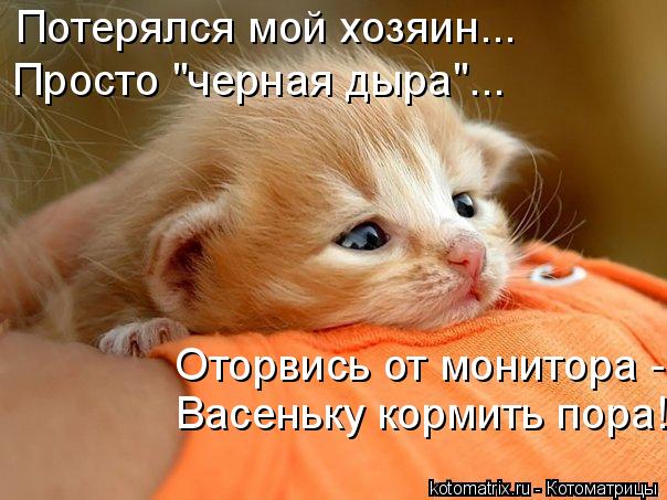 Котоматрица: Оторвись от монитора -  Васеньку кормить пора! Потерялся мой хозяин... Просто "черная дыра"...
