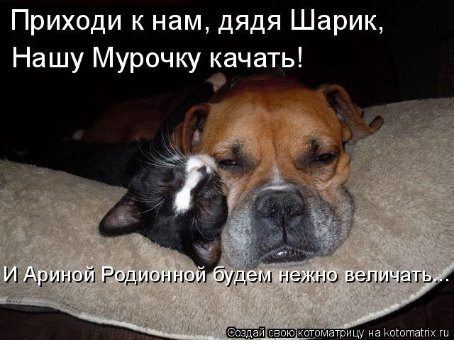 Котоматрица: Приходи к нам, дядя Шарик,  Нашу Мурочку качать! И Ариной Родионной будем нежно величать...