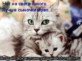 Котоматрица: Нет на свете никого Лучше сыночки мово...