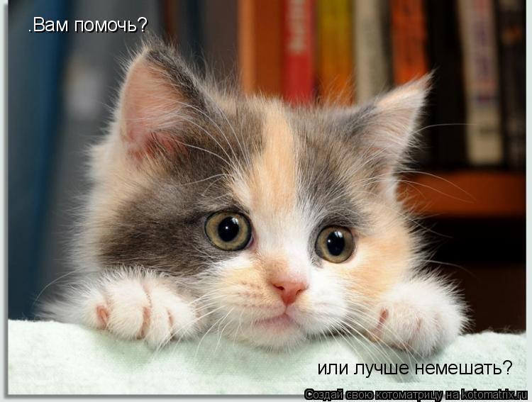 Котоматрица: –Вам помочь? или лучше немешать?