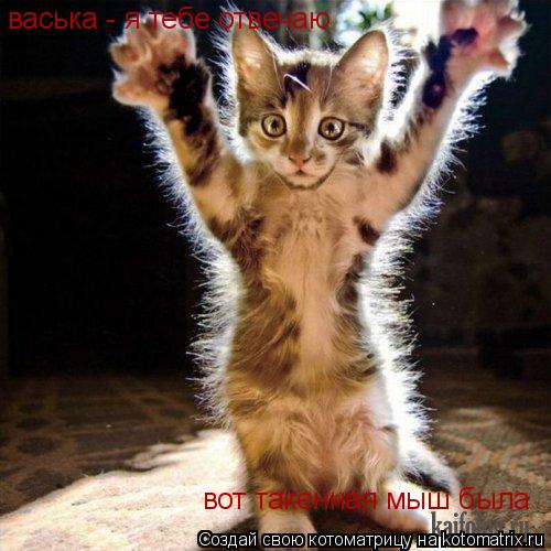 Котоматрица: васька - я тебе отвечаю вот такенная мыш была