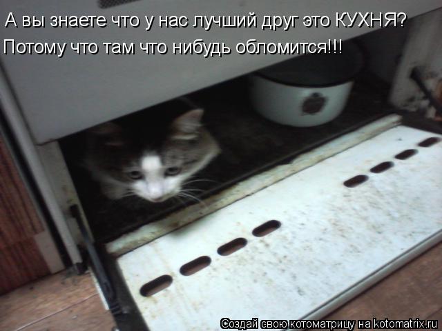 Котоматрица: А вы знаете что у нас лучший друг это КУХНЯ? Потому что там что нибудь обломится!!!