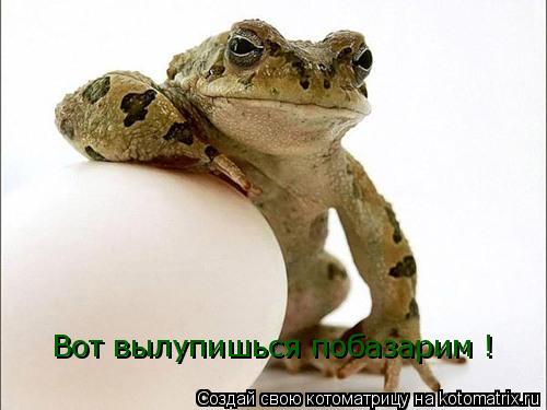 Котоматрица: Вот вылупишься побазарим !
