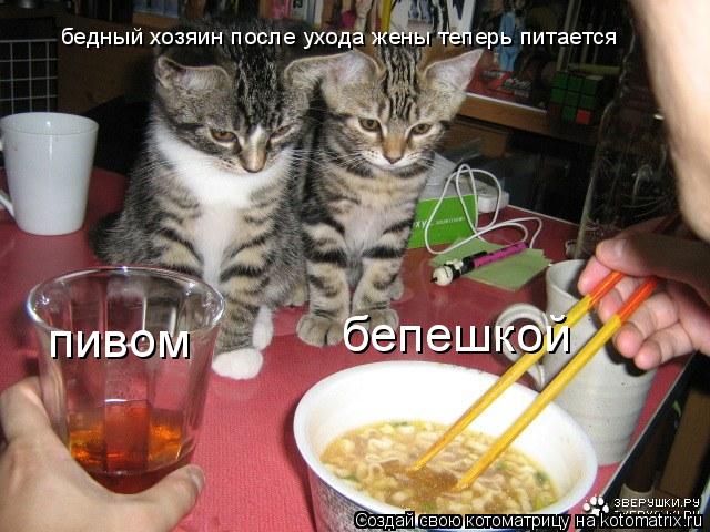 бедный хозяин после ухода жены теперь питается пивом бепешкой... Котоматрица: бедный хозяин после ухода жены теперь питается пивом бепешкой
