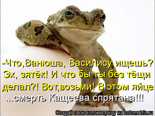 -Что,Ванюша, Василису ищешь? Эх, зятёк! И что бы ты без тёщи делал?! Вот,возьми! В этом яйце ...сме... Котоматрица: -Что,Ванюша, Василису ищешь? Эх, зятёк! И что бы ты без тёщи делал?! Вот,возьми! В этом яйце ...смерть Кащеева спрятана!!!