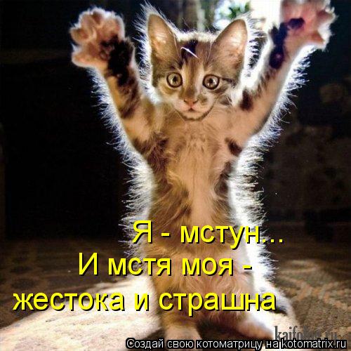 Я - мстун... И мстя моя - жестока и страшна... Котоматрица: Я - мстун... И мстя моя - жестока и страшна