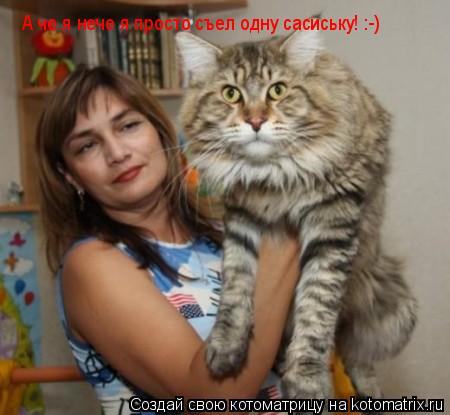 Котоматрица: А че я нече я просто съел одну сасиську! :-)