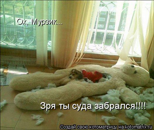 Котоматрица: Ох, Мурзик... Зря ты суда забрался!!!!