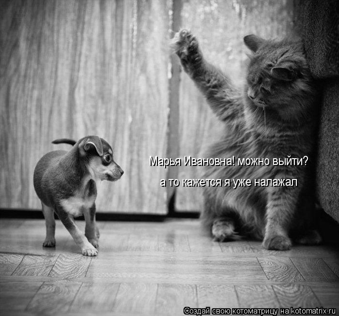 Марья Ивановна! можно выйти? а то кажется я уже налажал... Котоматрица: Марья Ивановна! можно выйти? а то кажется я уже налажал