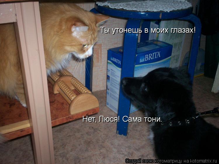 Ты утонешь в моих глазах! Нет, Люся! Сама тони.... Котоматрица: Ты утонешь в моих глазах! Нет, Люся! Сама тони.