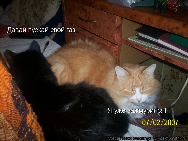 Давай,пускай свой газ... Я уже зажмурился!... Котоматрица: Давай,пускай свой газ... Я уже зажмурился!