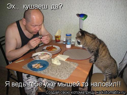 Эх.. кушаеш .да? Я ведь тебе уже мышей то наловил!!... Котоматрица: Эх.. кушаеш .да? Я ведь тебе уже мышей то наловил!!