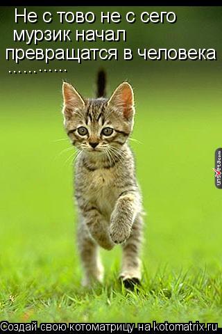 Не с тово не с сего мурзик начал превращатся в человека ...... ......... Котоматрица: Не с тово не с сего мурзик начал превращатся в человека ...... ......