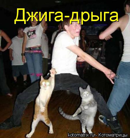 Джига-дрыга... Котоматрица: Джига-дрыга