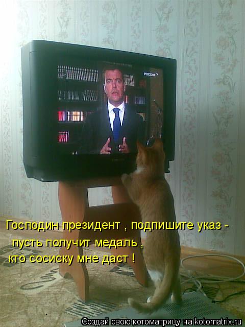 Котоматрица: Господин президент , подпишите указ -  пусть получит медаль ,  кто сосиску мне даст !