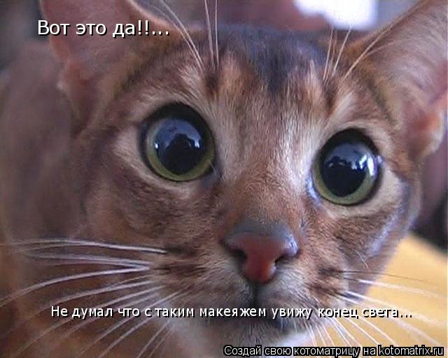 Котоматрица: Вот это да!!... Не думал что с таким макеяжем Не думал что с таким макеяжем увижу конец света...