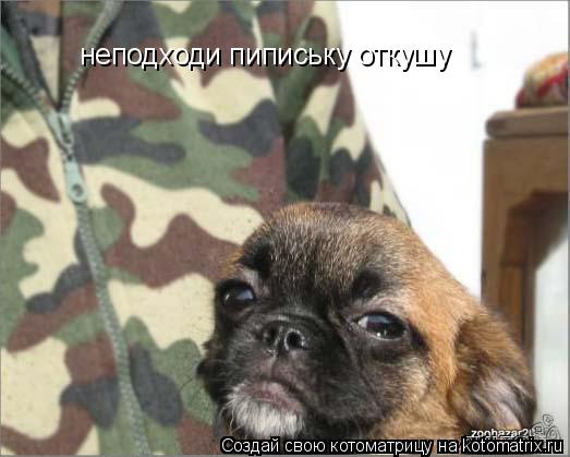 Котоматрица: неподходи пипиську откушу