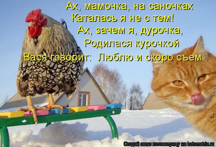 Ах, мамочка, на саночках Каталась я не с тем! Ах, зачем я, дурочка, Родилася курочкой Вася говорит: «... Котоматрица: Ах, мамочка, на саночках Каталась я не с тем! Ах, зачем я, дурочка, Родилася курочкой Вася говорит: «Люблю и скоро съем».