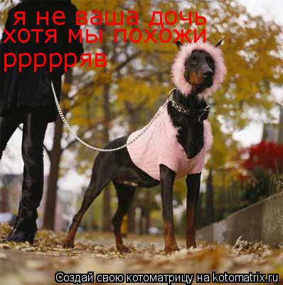 я не ваша дочь хотя мы похожи хотя мы похожи ррррряв... Котоматрица: я не ваша дочь хотя мы похожи хотя мы похожи ррррряв