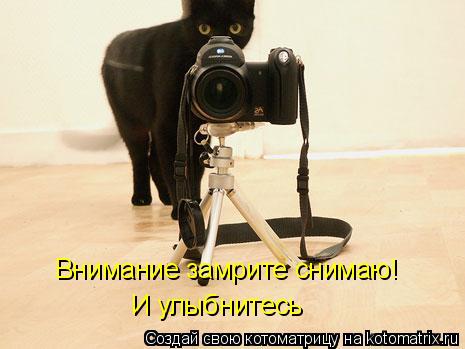 Внимание замрите снимаю! И улыбнитесь... Котоматрица: Внимание замрите снимаю! И улыбнитесь
