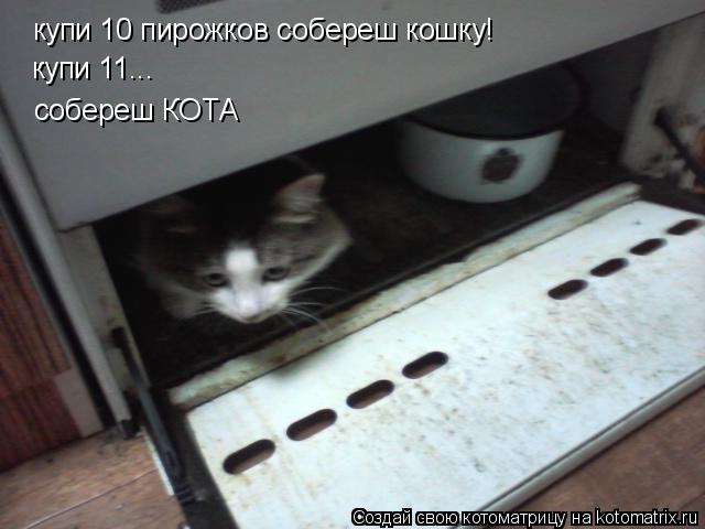 купи 10 пирожков собереш кошку! купи 11... собереш КОТА... Котоматрица: купи 10 пирожков собереш кошку! купи 11... собереш КОТА