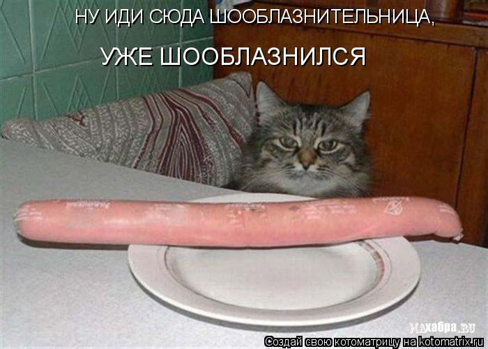 НУ ИДИ СЮДА ШООБЛАЗНИТЕЛЬНИЦА, УЖЕ ШООБЛАЗНИЛСЯ... Котоматрица: НУ ИДИ СЮДА ШООБЛАЗНИТЕЛЬНИЦА, УЖЕ ШООБЛАЗНИЛСЯ